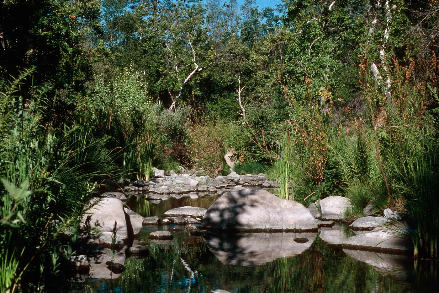San Miguel Creek, Ft. Hunter-Liggett