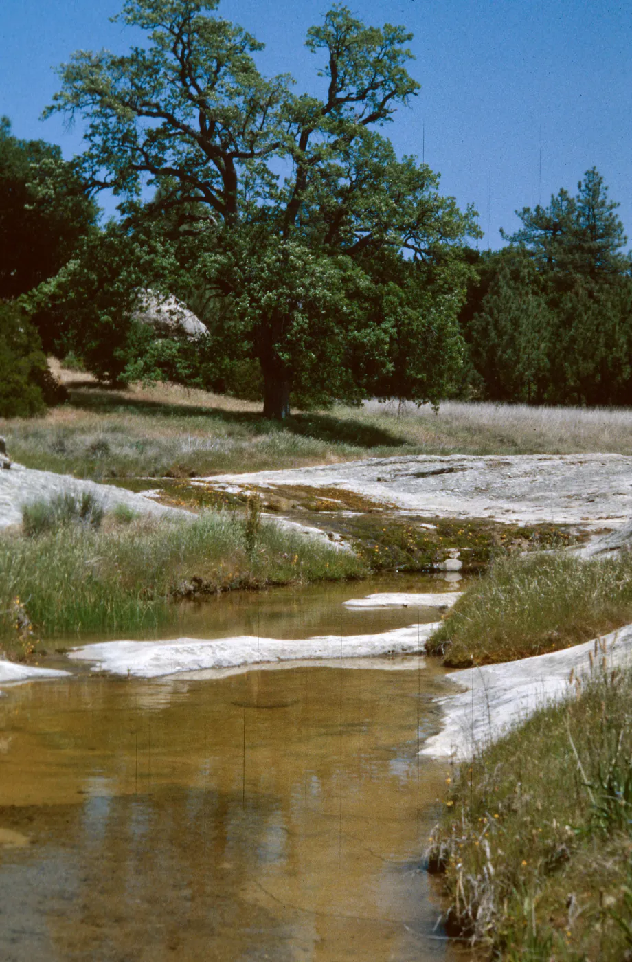 creek, Santa Lucia Memorial Park, Santa Lucia Mountains