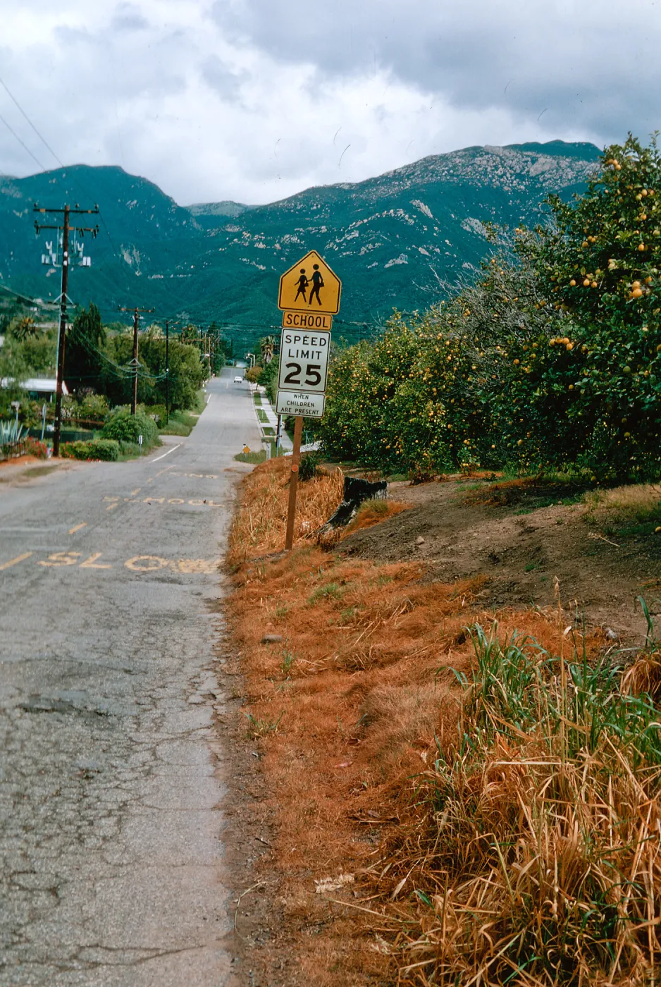 Hope Avenue