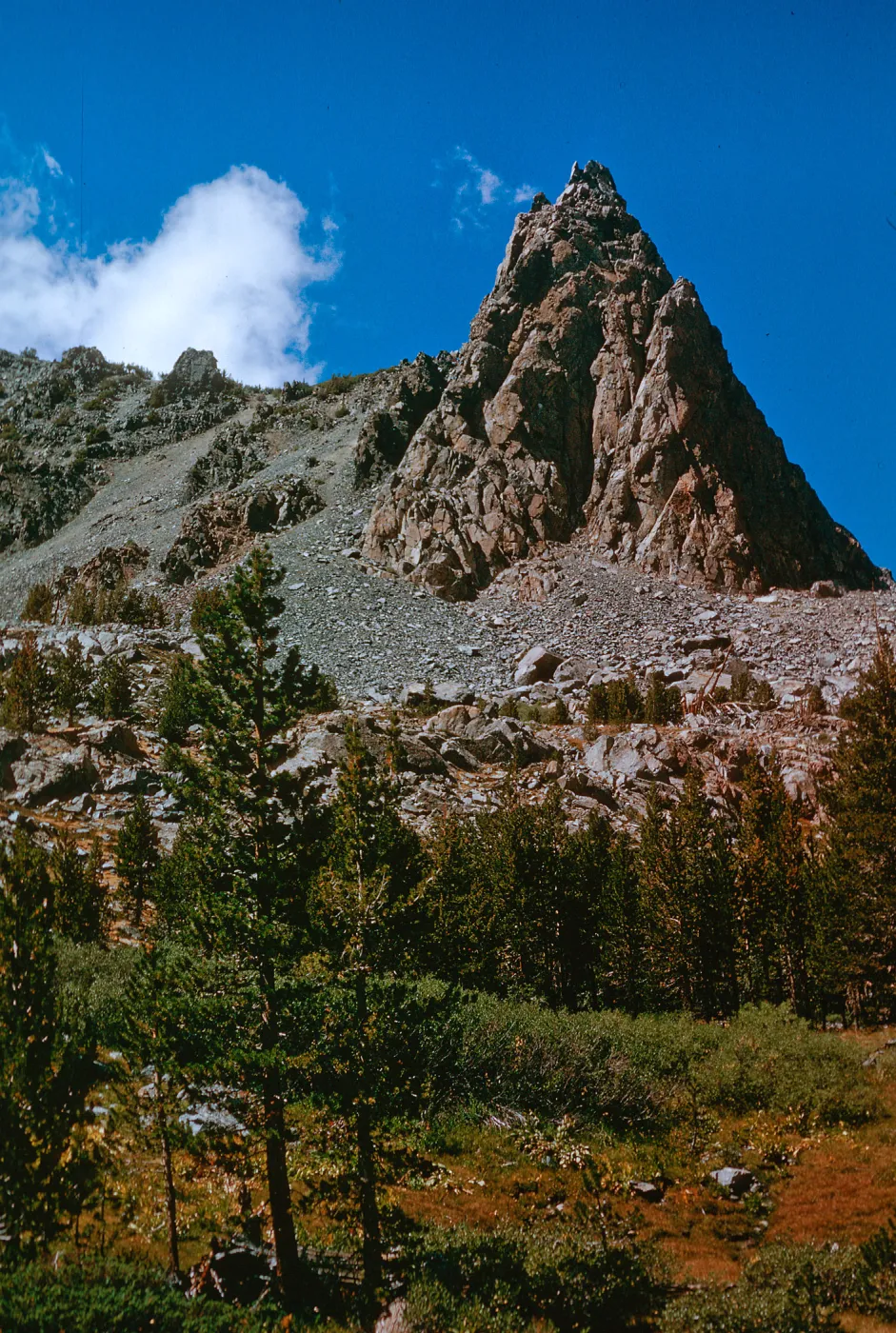 Pinnacle - trail above Virginia Lake, K.K.M., August 66