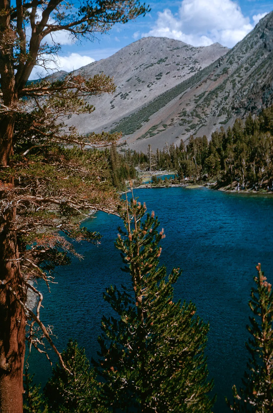 Virginia Lake, KKM, August 66