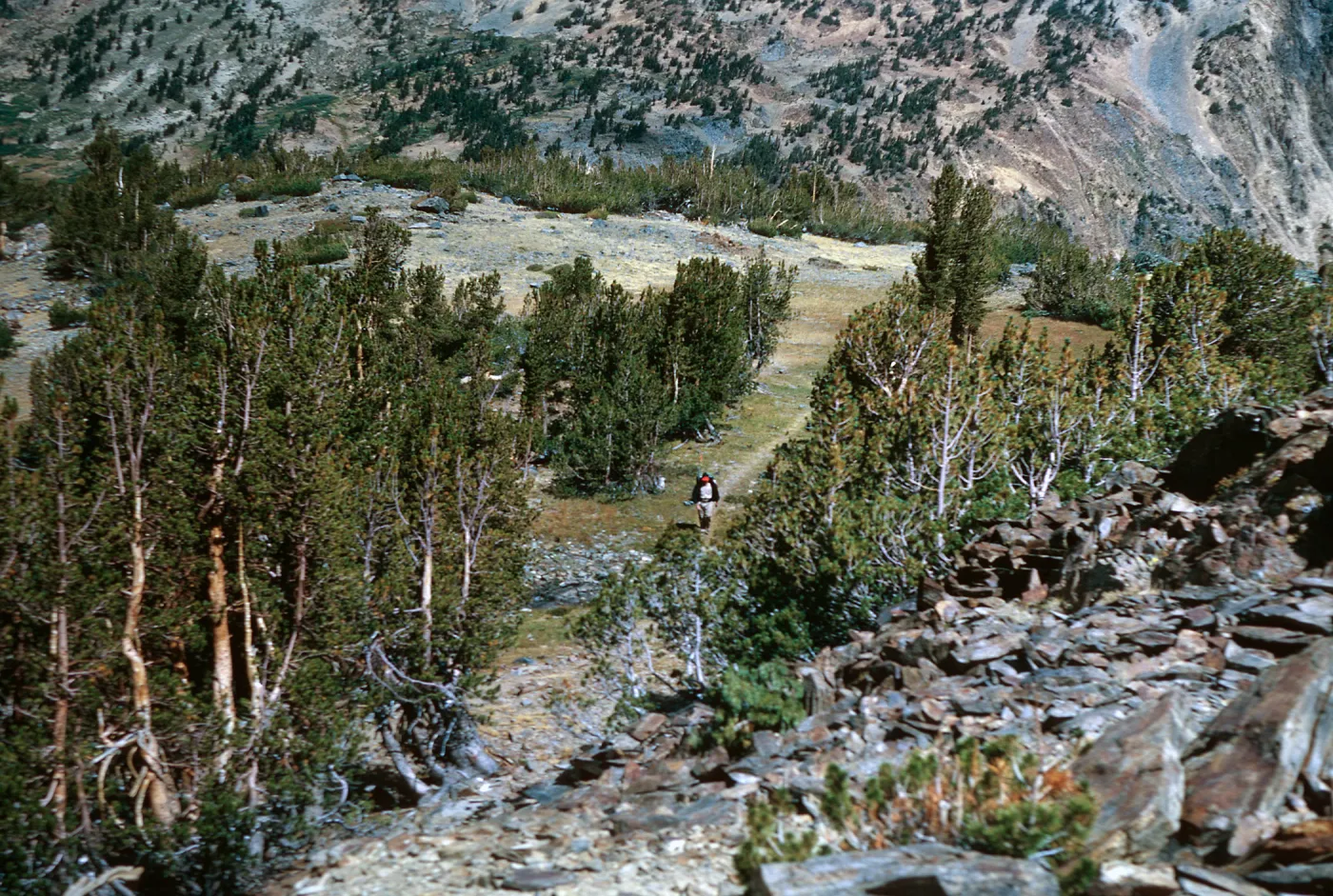 Neil on trail below Summit Pass, 8/29/1966