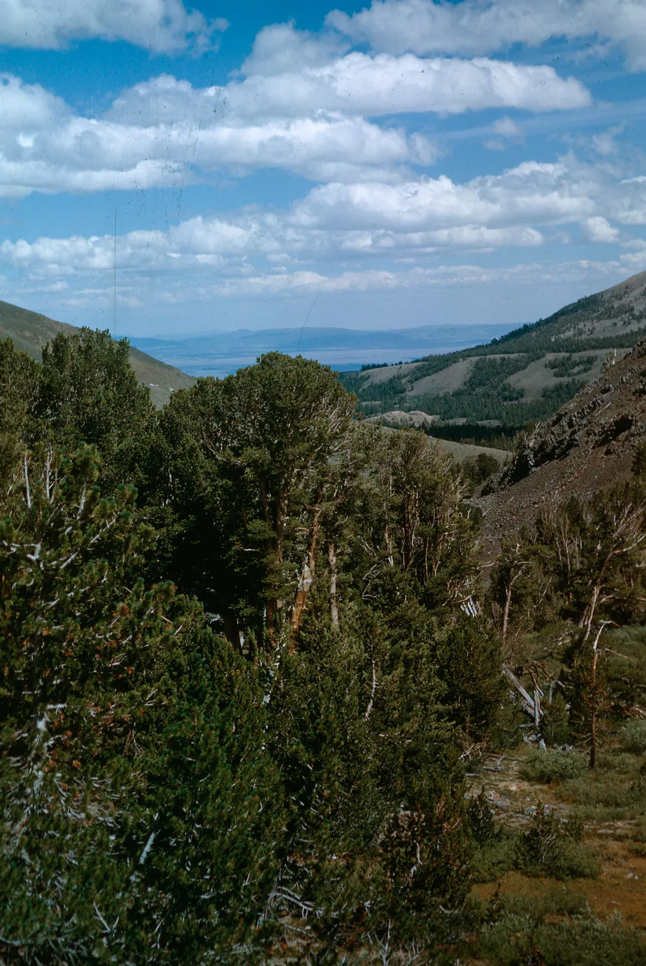 Owens Valley in distance from trail, below Summit Pass, above Virginia Lake