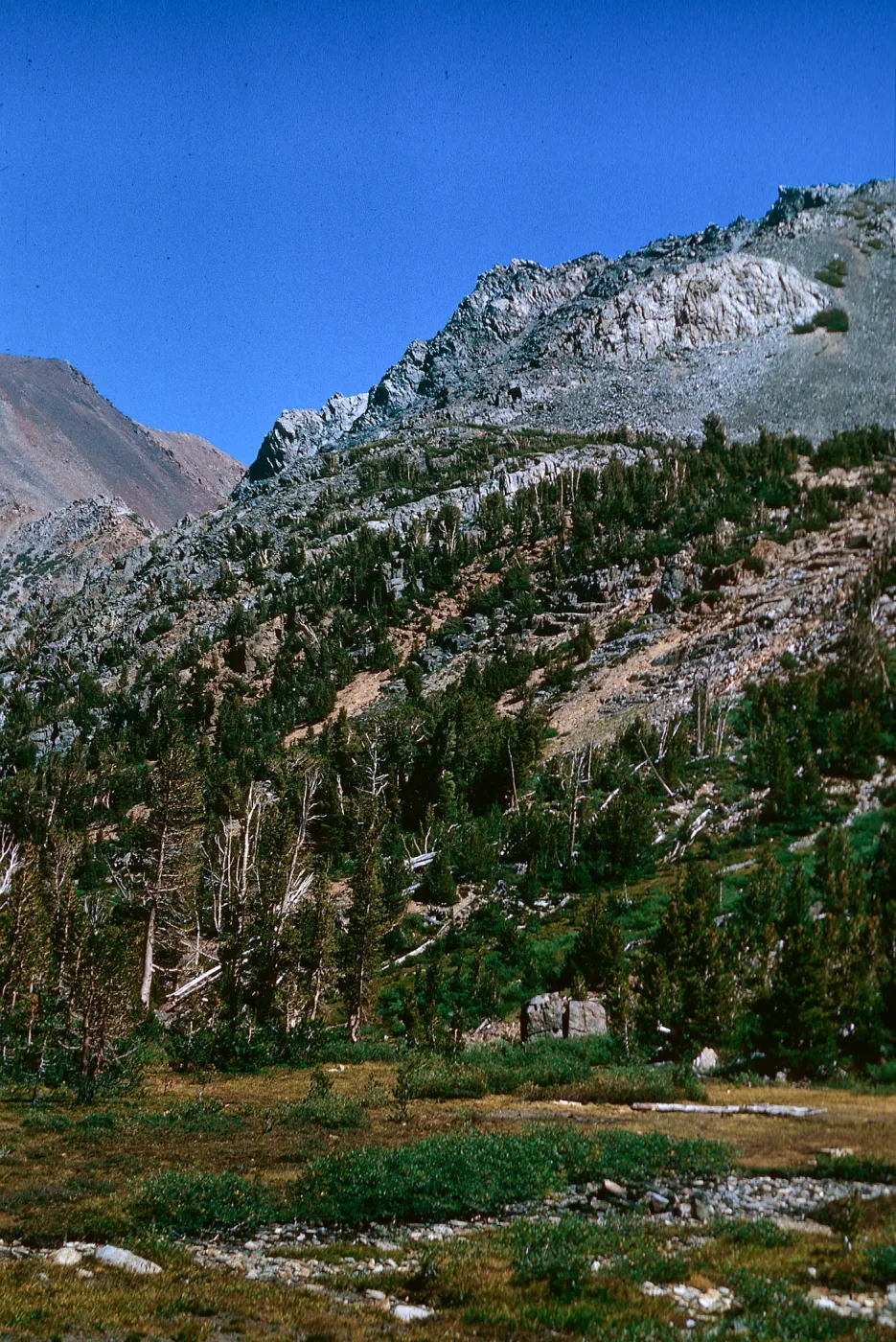 slope above Hoover Lake