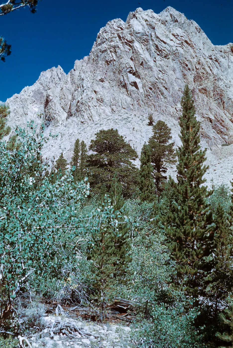 above North Lake on Piute Pass Trail