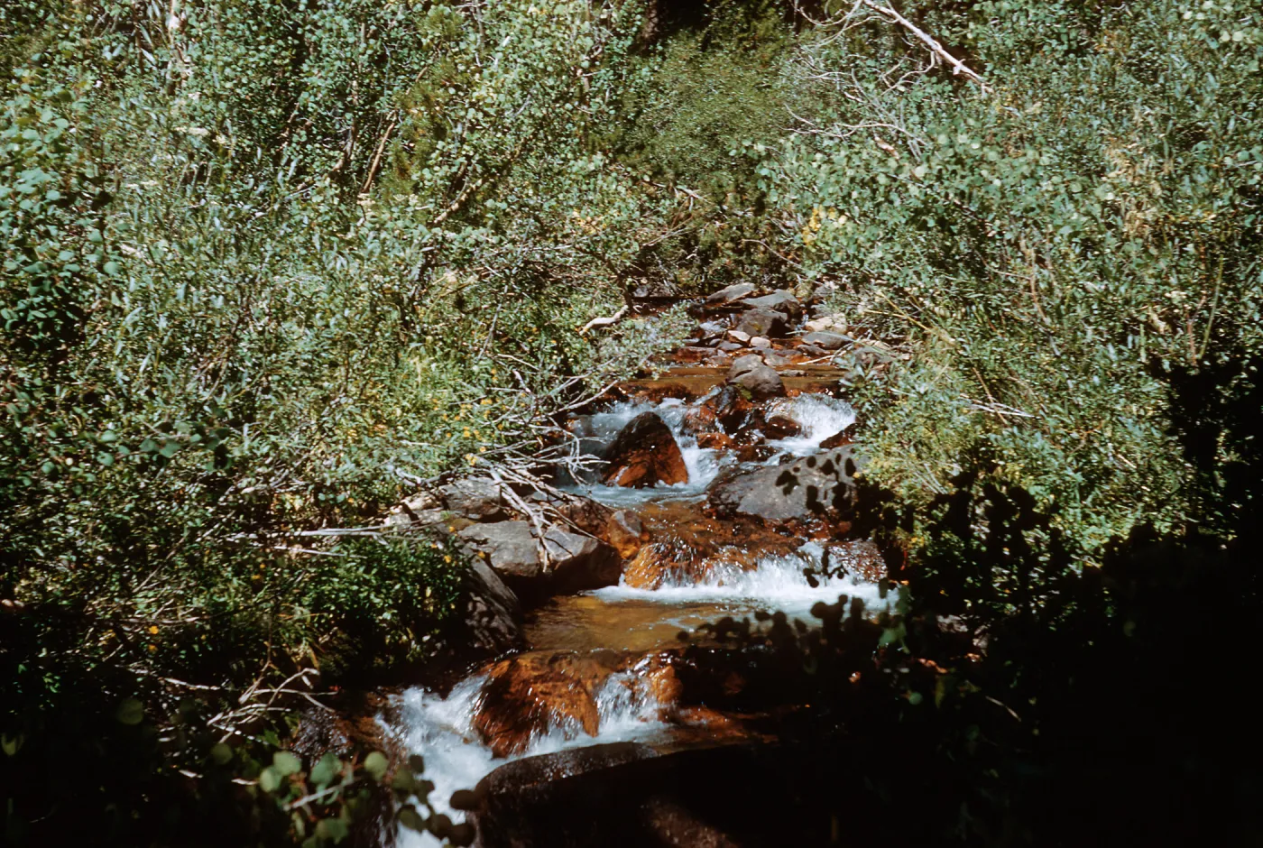 stream along trail, Piute Pass