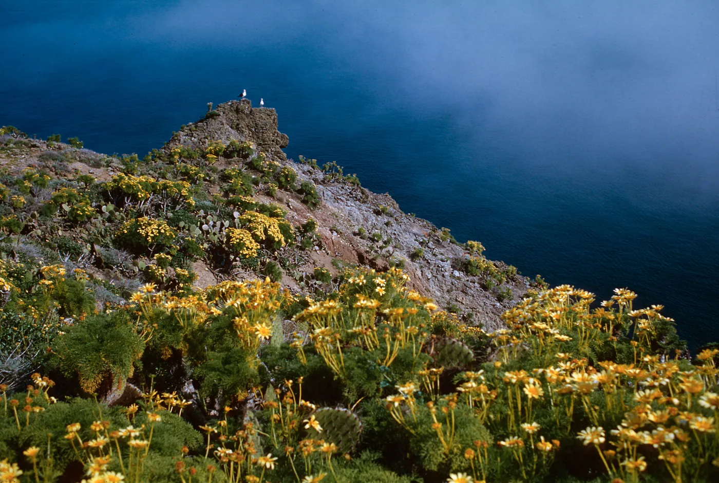 Anacapa Island