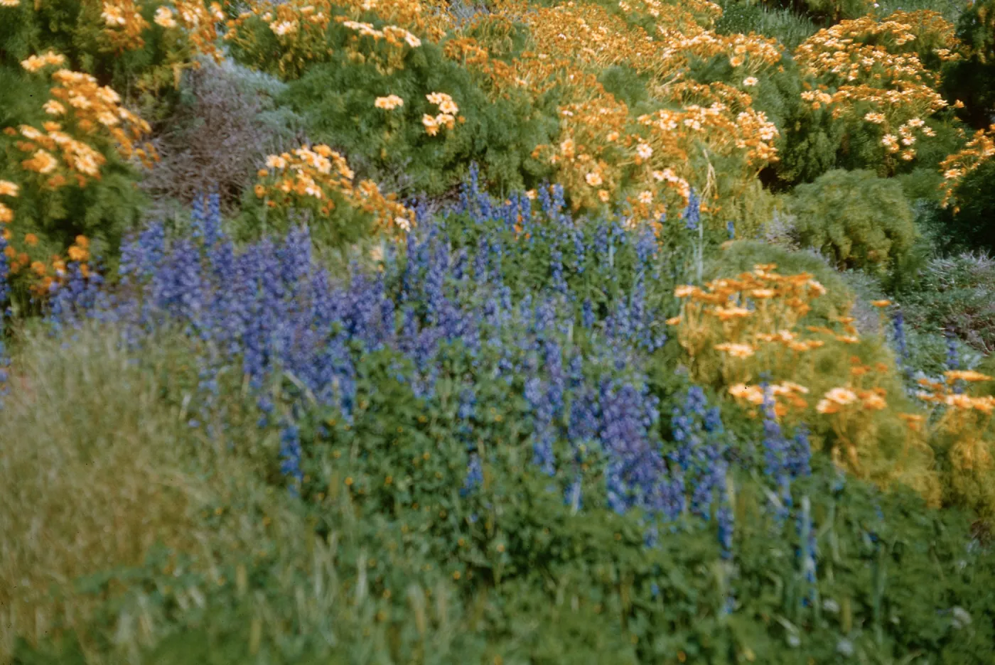 Anacapa Island