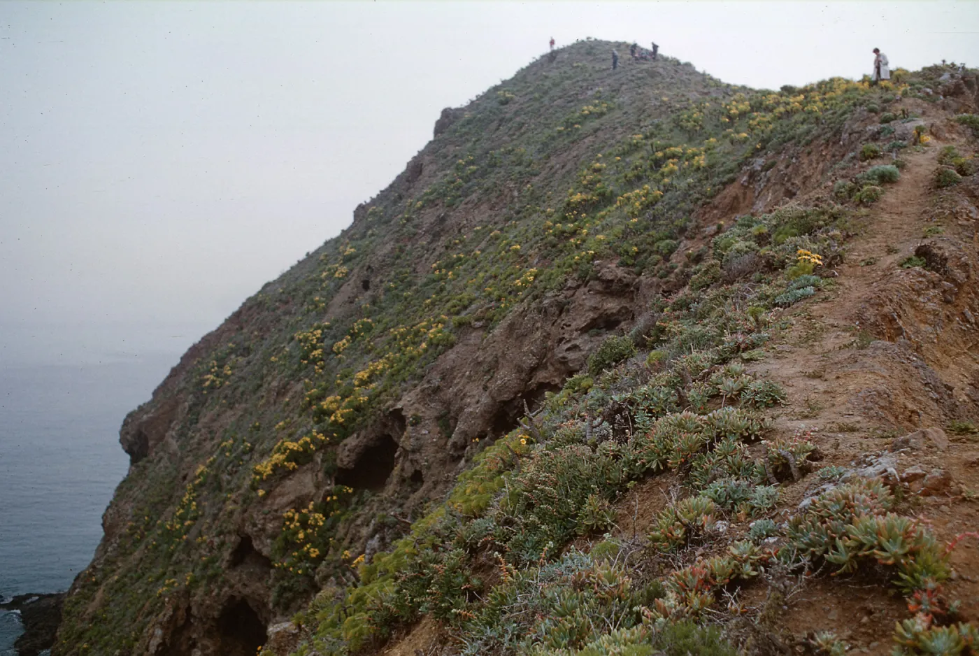 Anacapa Island
