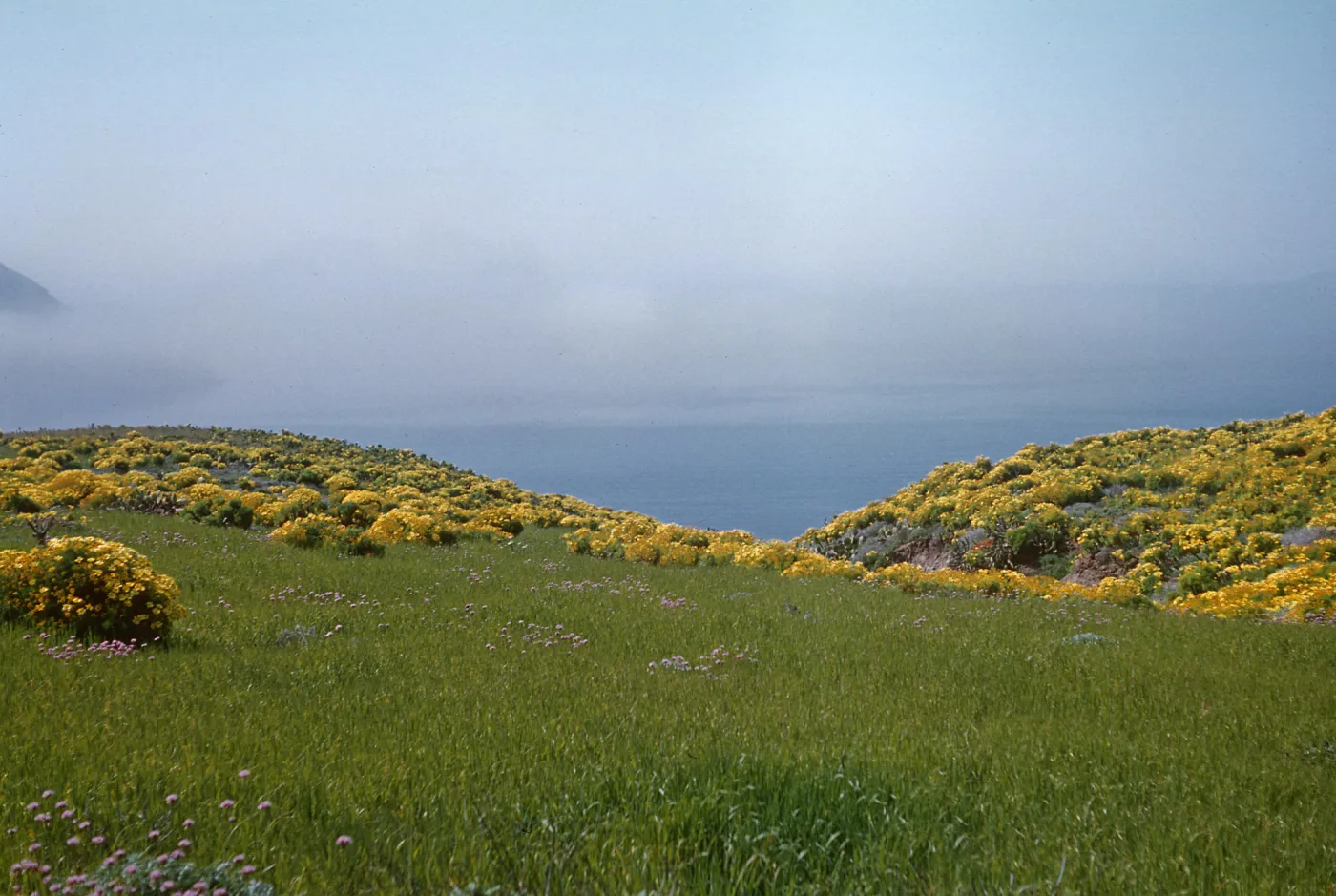 Anacapa Island