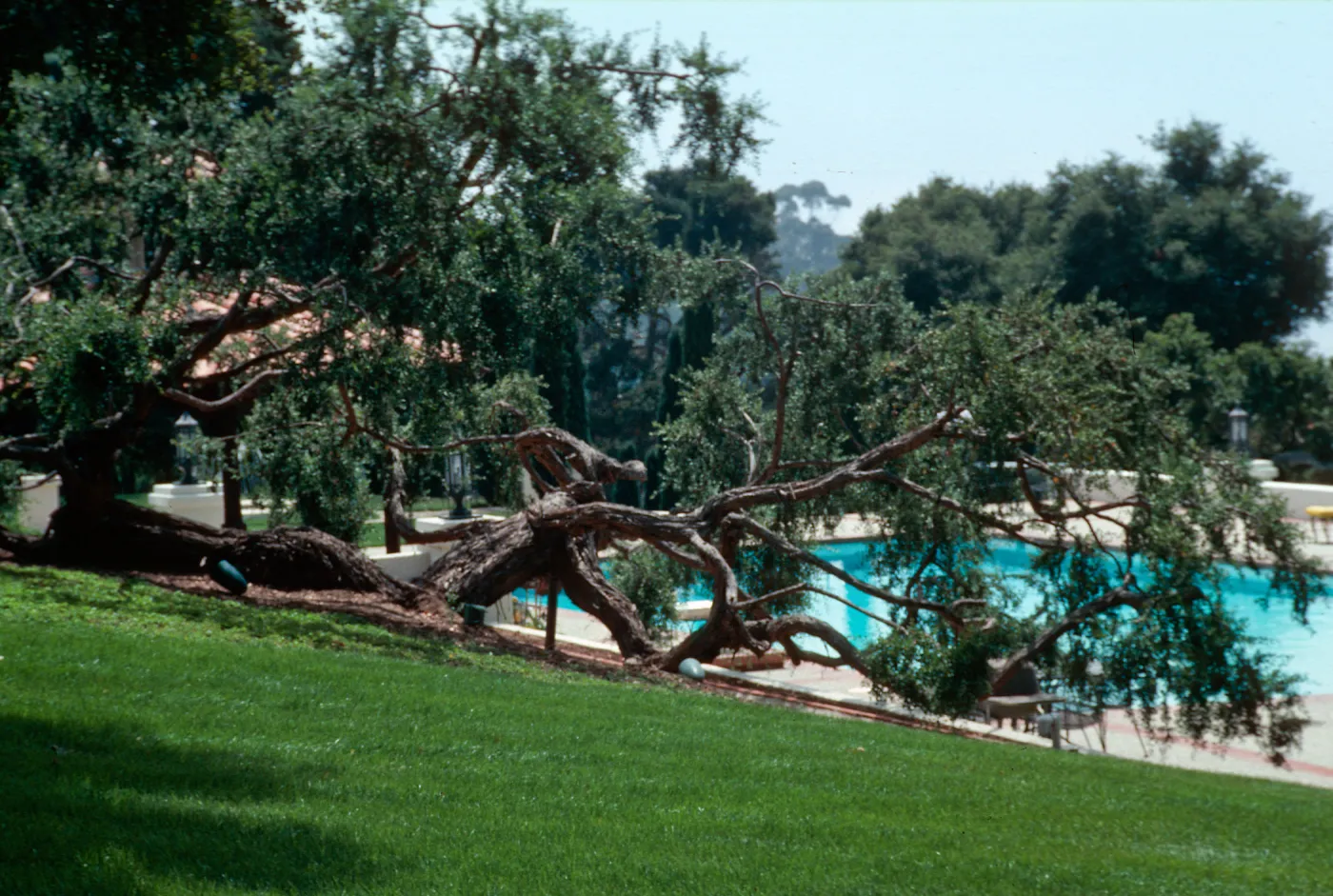 â€œLas Terrasasâ€, Chase - Hope Ranch