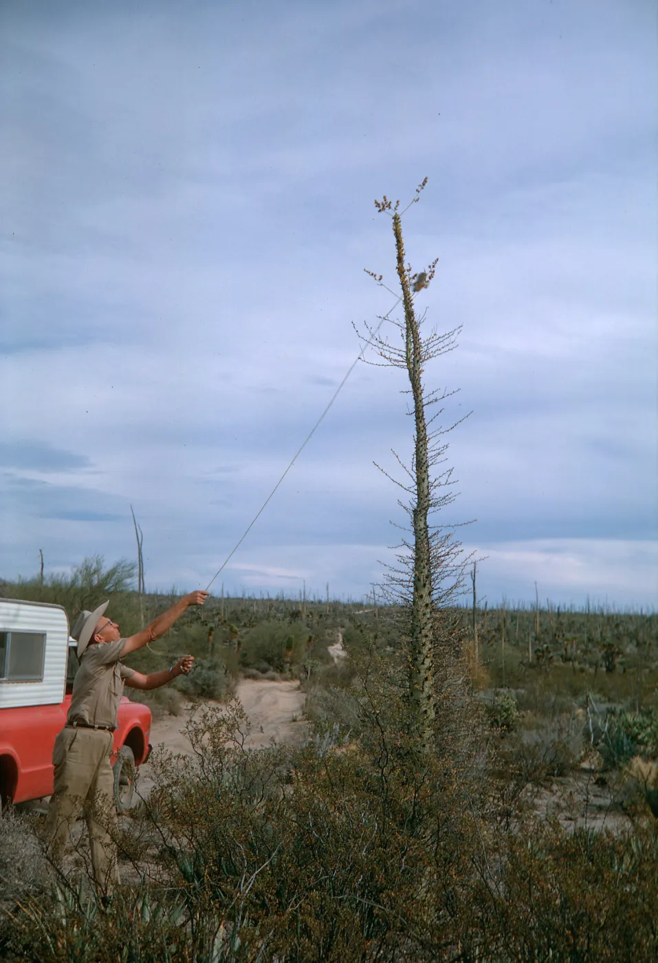 Neil collecting Idria, Baja