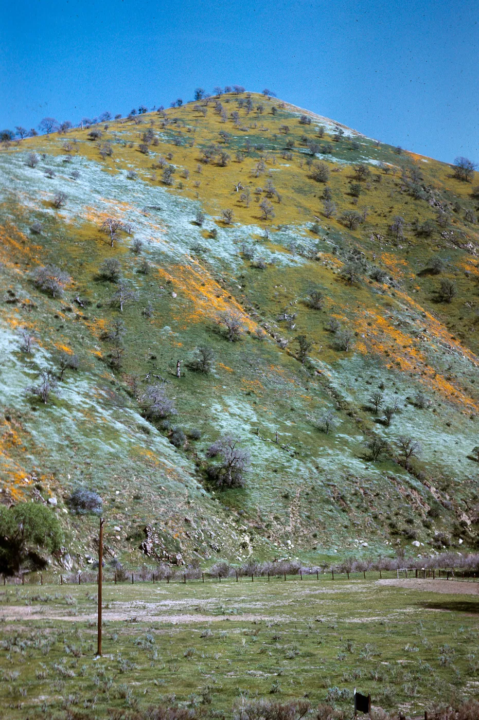 Tehachapi