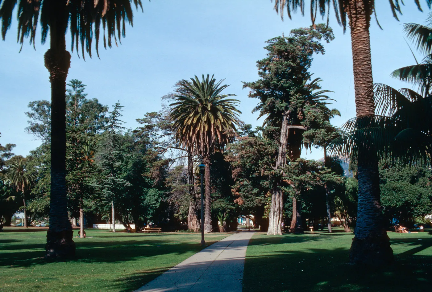 Alameda Plaza