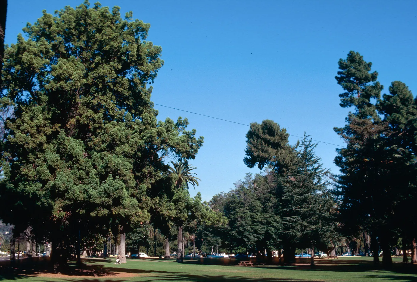 Alameda Plaza