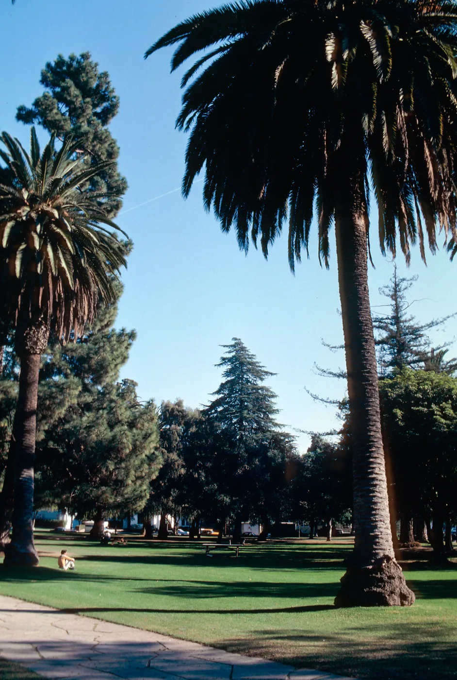 Alameda Plaza