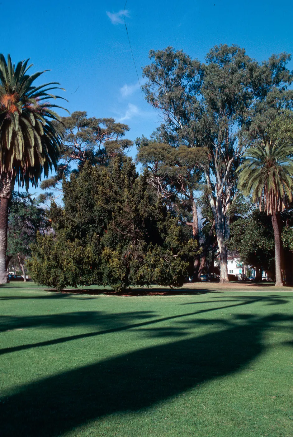 Alameda Plaza