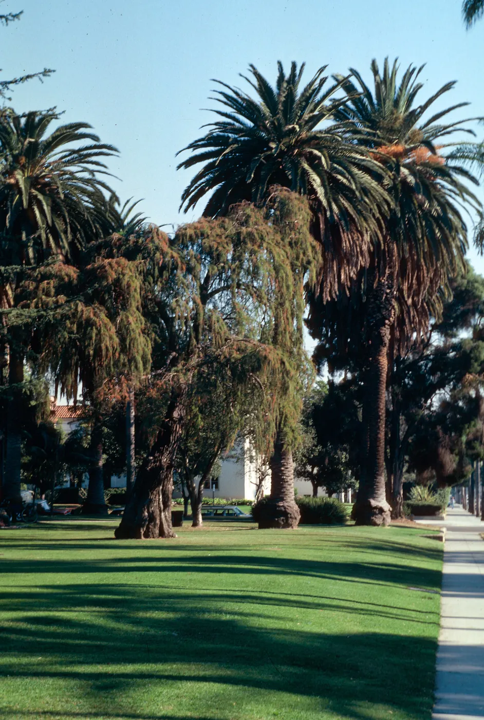 Alameda Plaza