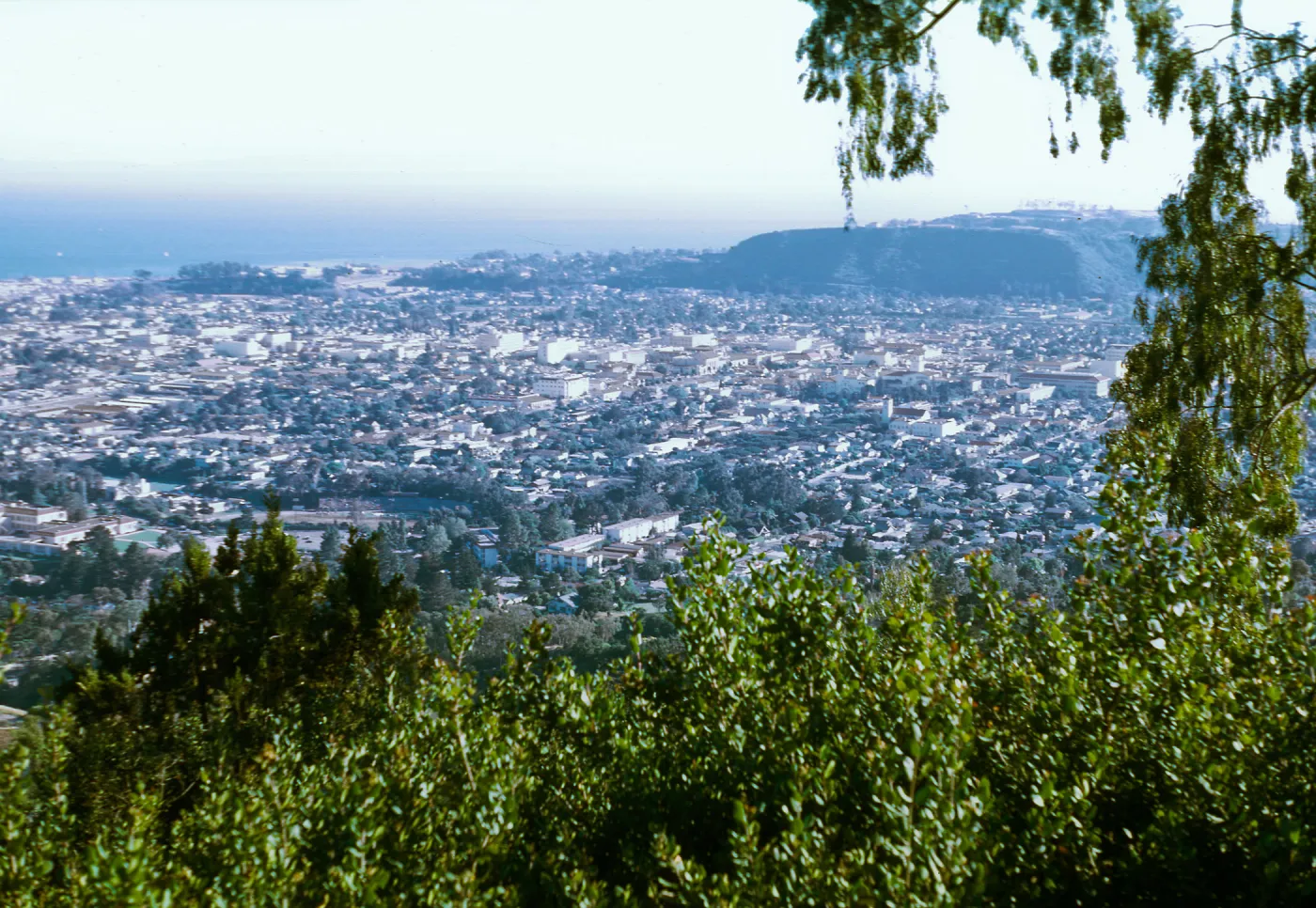 view from Franceschi park