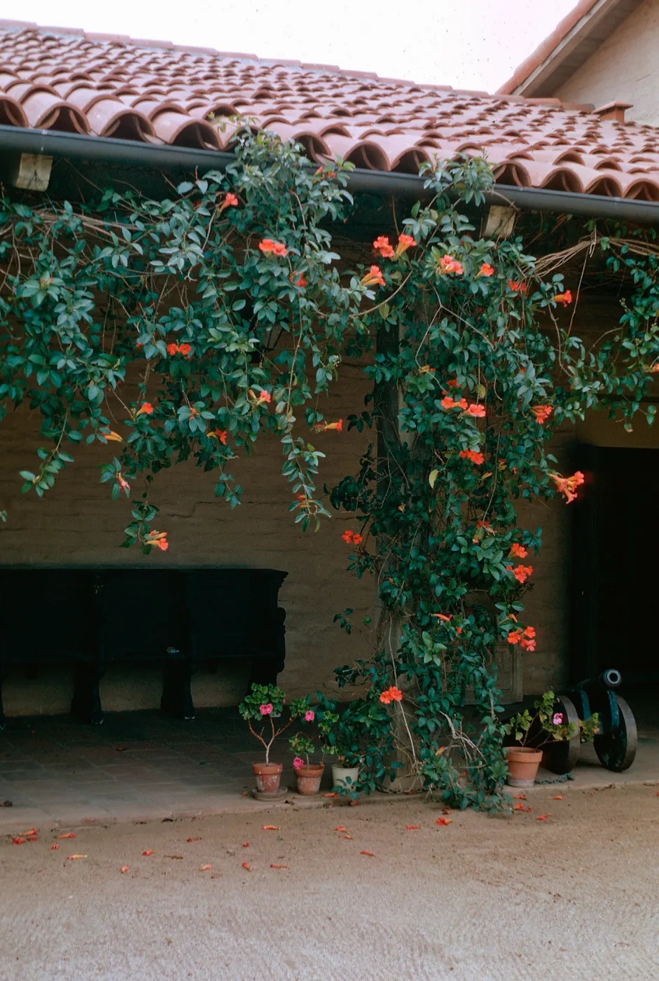 Santa Barbara Historical Museum
