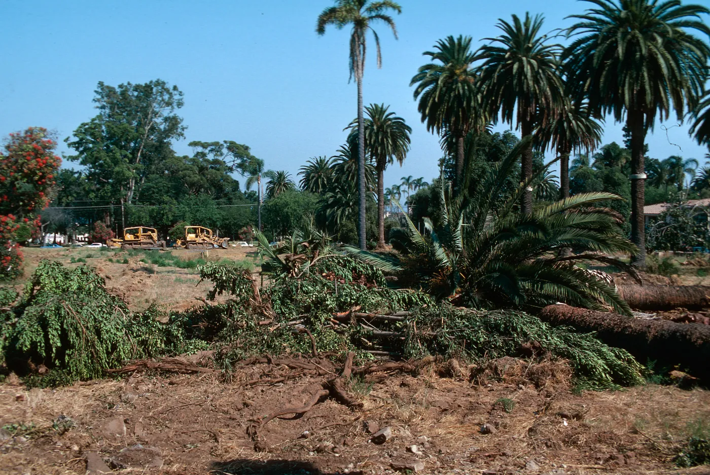 El Mirasol, Alice Keck Park Memorial Garden construction
