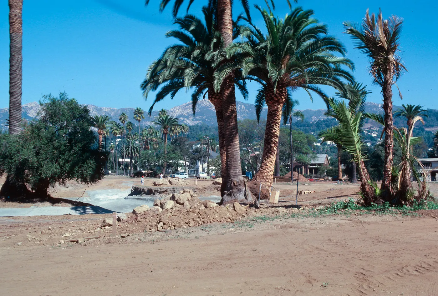 El Mirasol