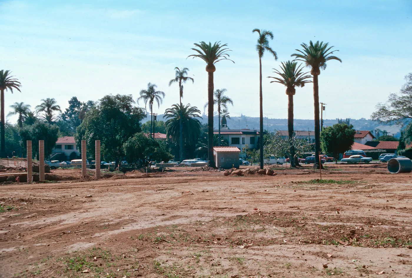 El Mirasol
