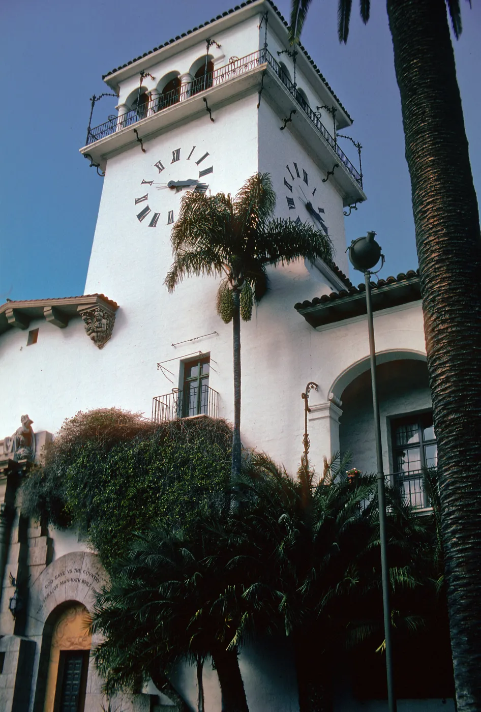 Syragus romanzoffiana, Courthouse Tower