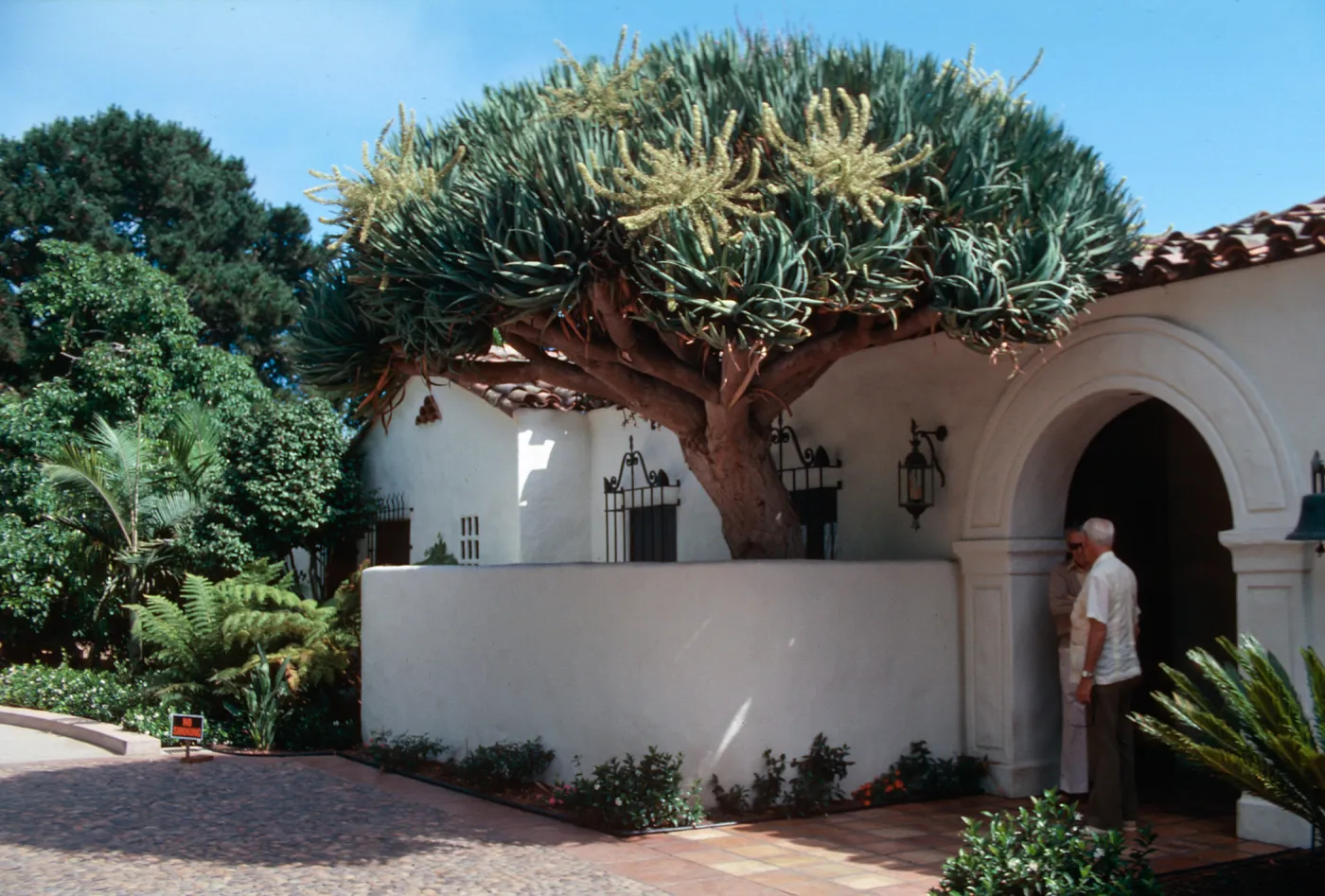 â€œCasa Palmillaâ€ Nancarrow's residence