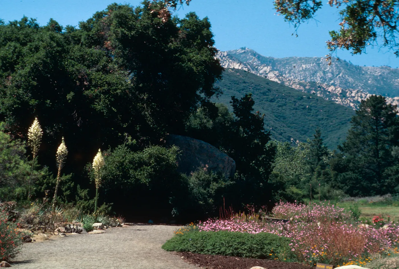 Santa Barbara Botanic Garden