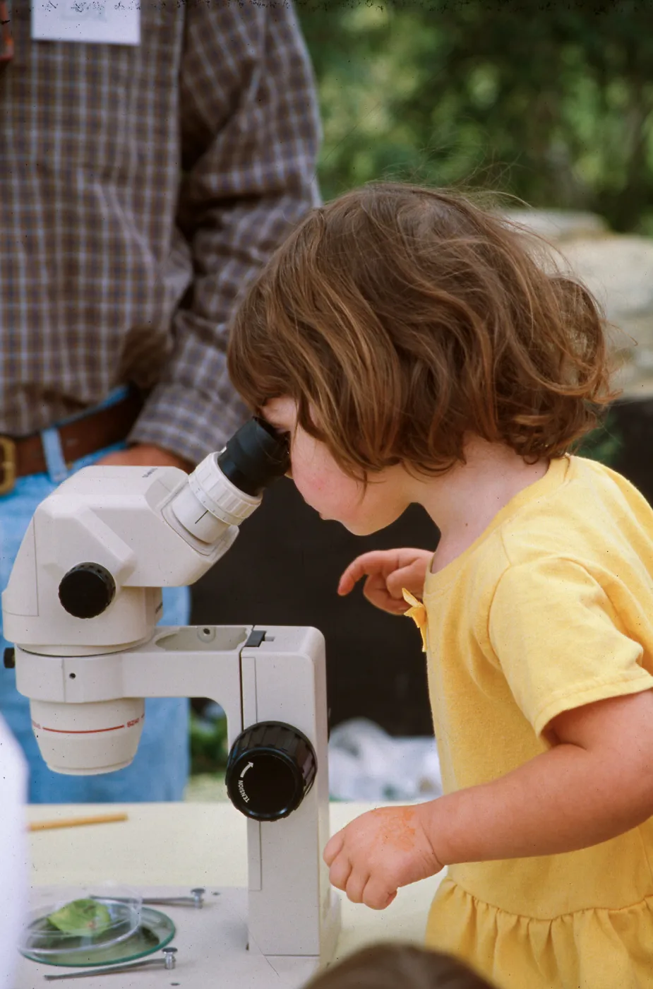 Child looking into microscope