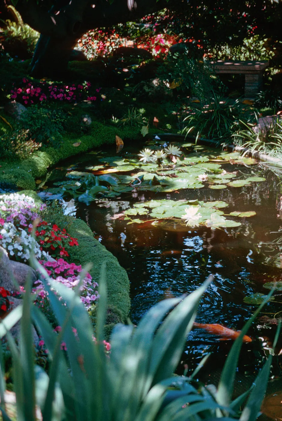 Self-Realization Gardens, Encinitas