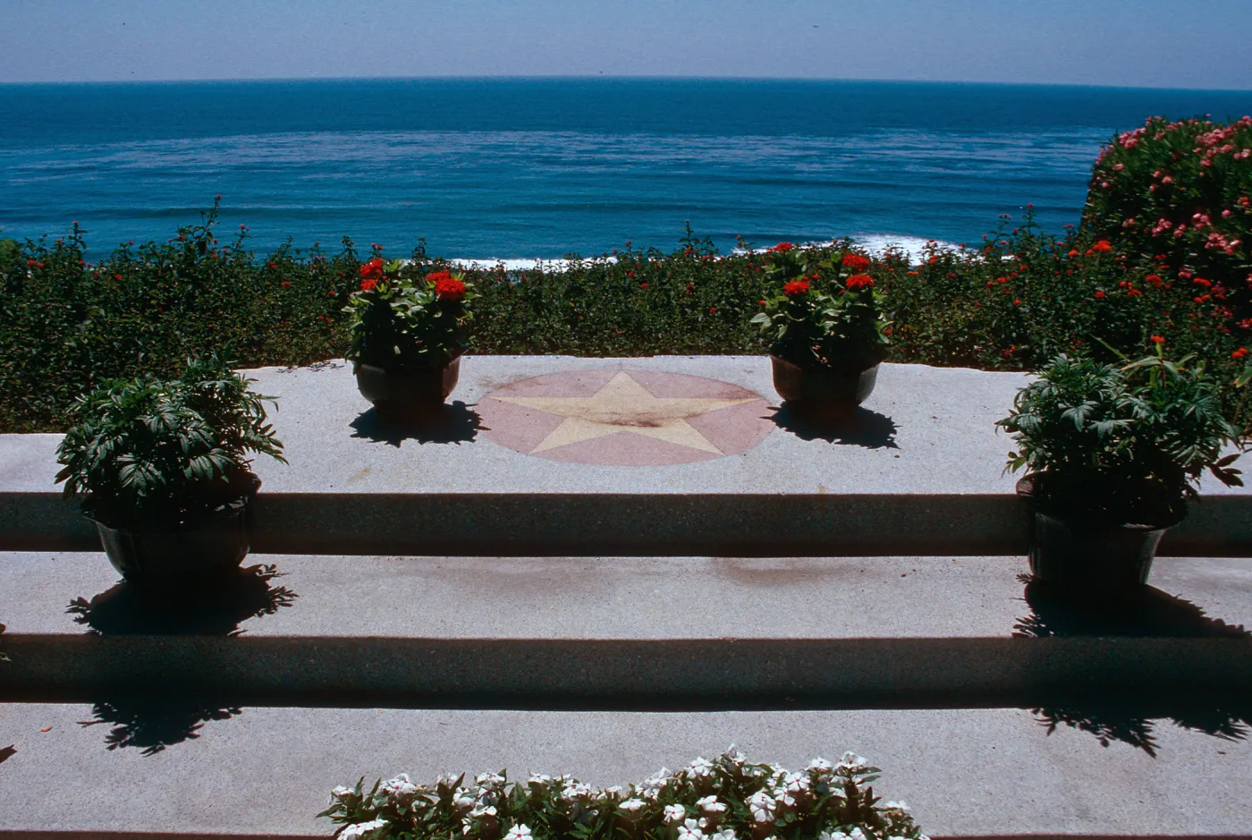 Self-Realization Garden