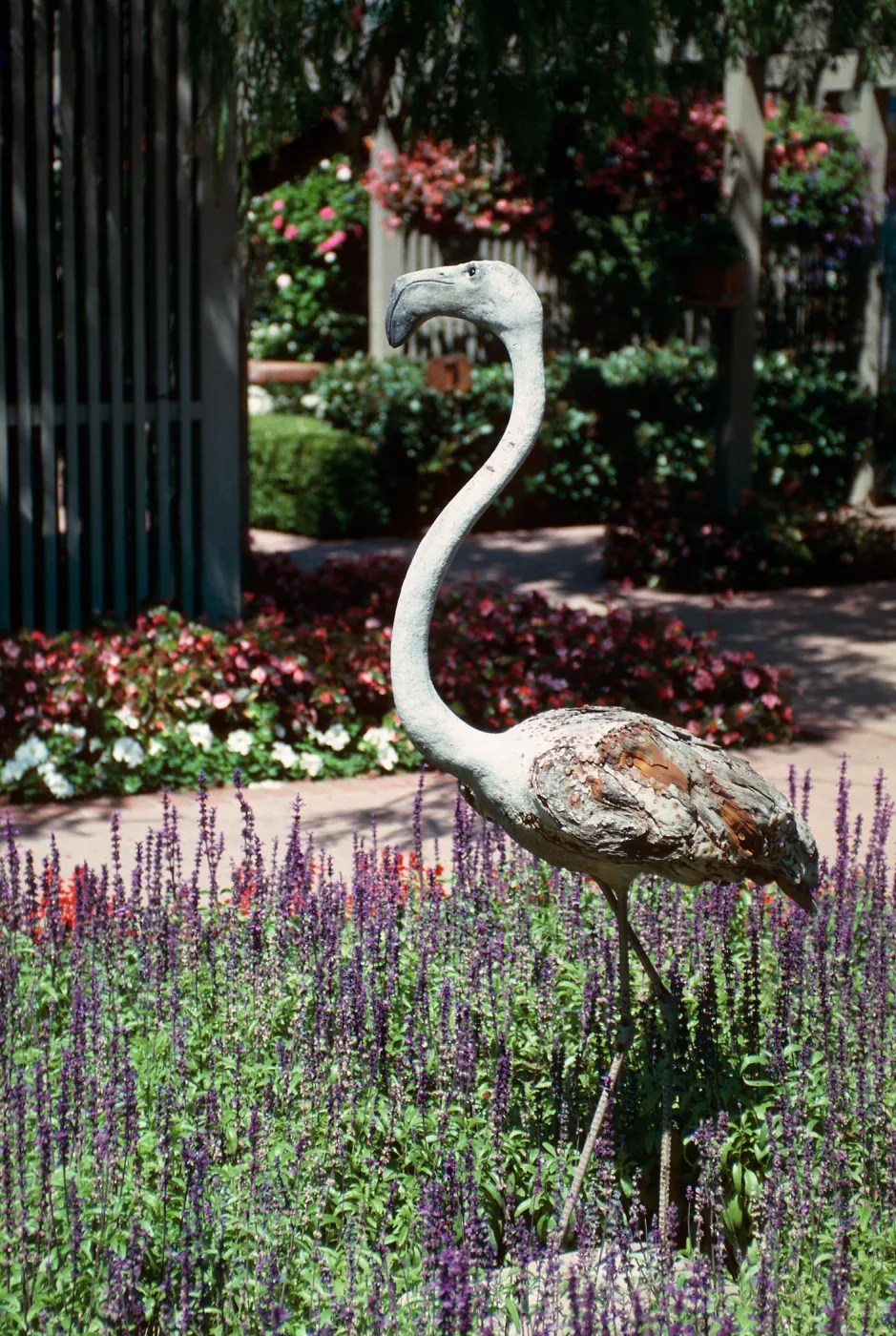 Sherman Library & Gardens, wood flamingo