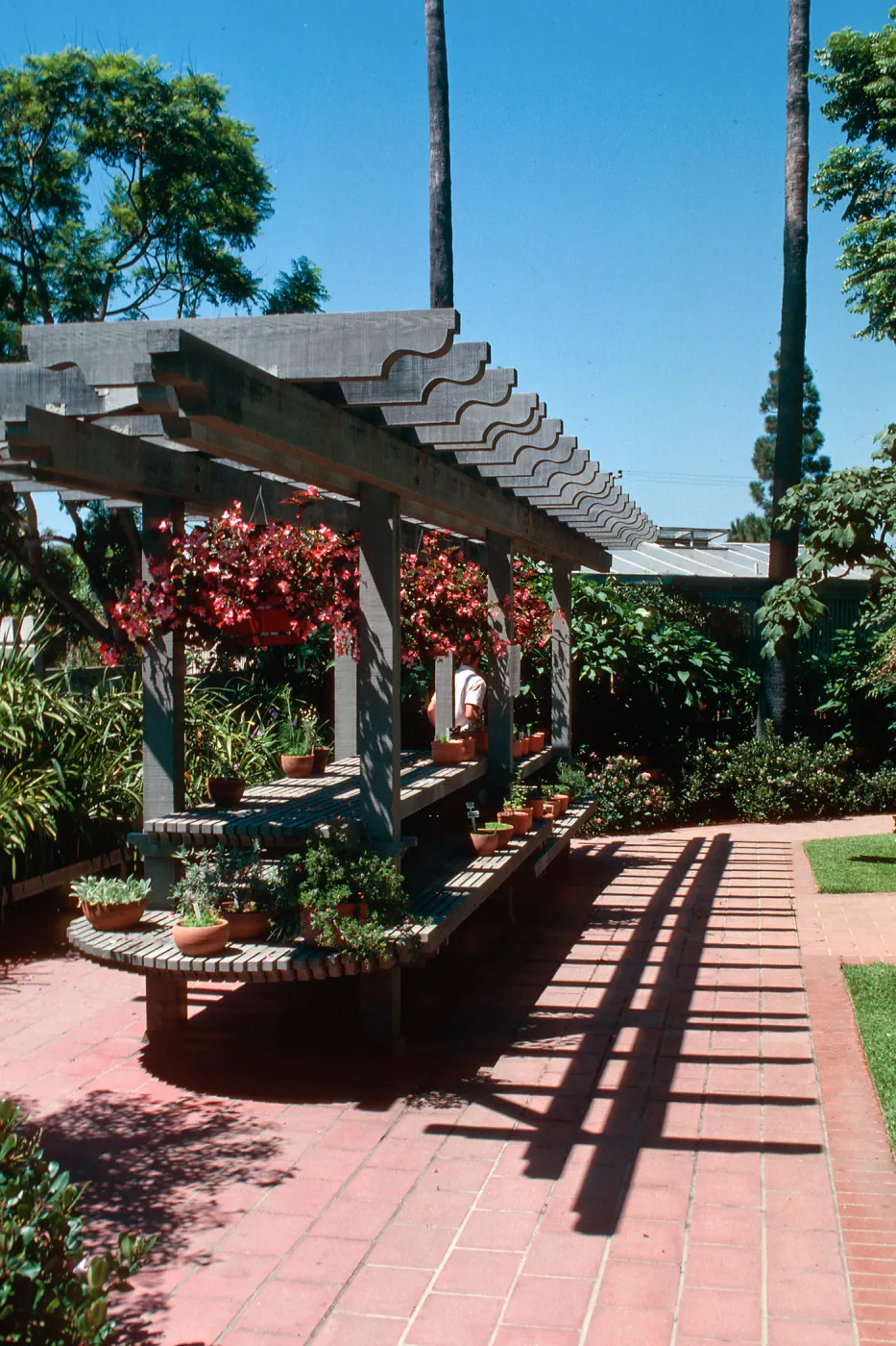 Sherman Library & Gardens, trellis
