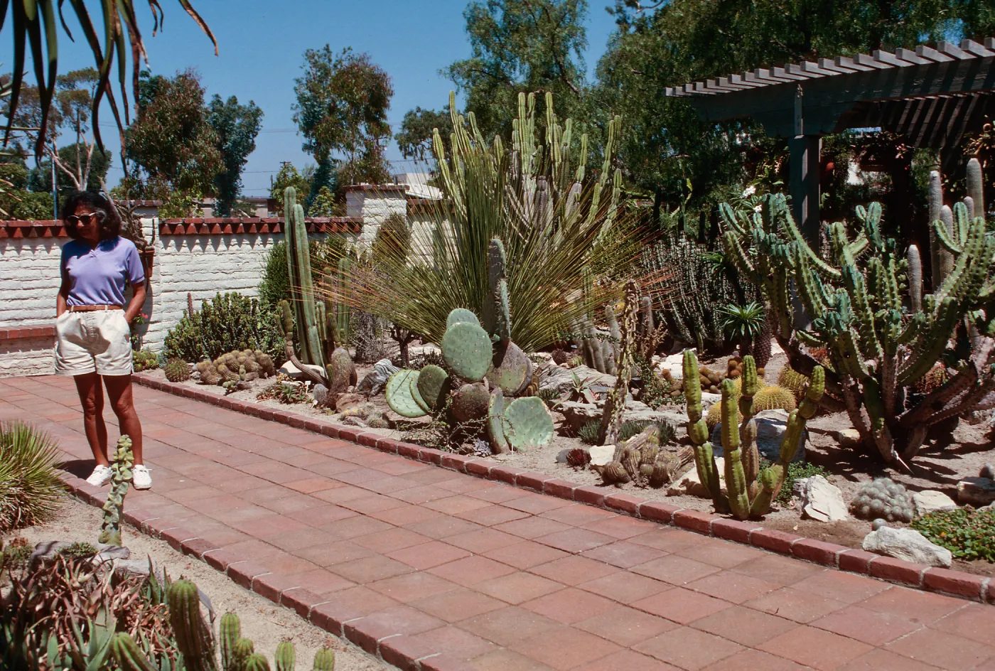 Sherman Library & Gardens