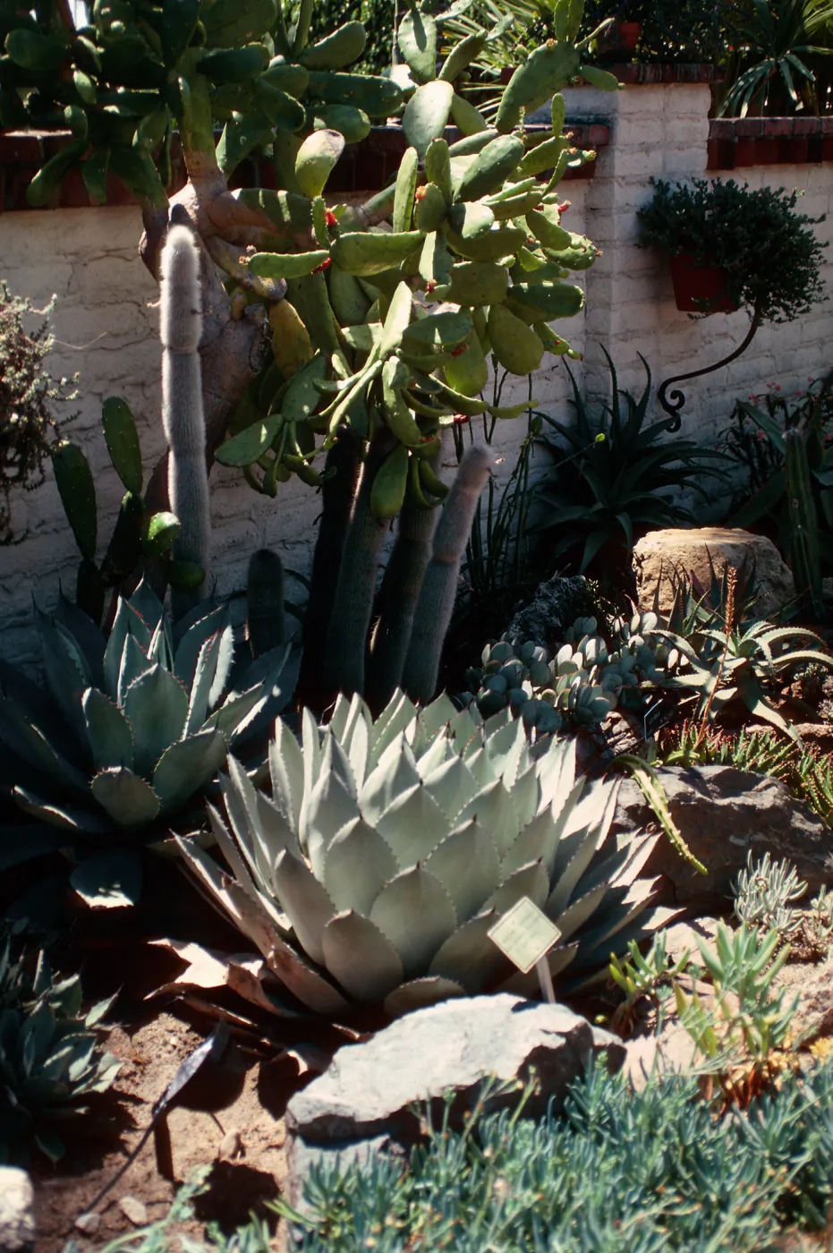 Sherman Library & Gardens
