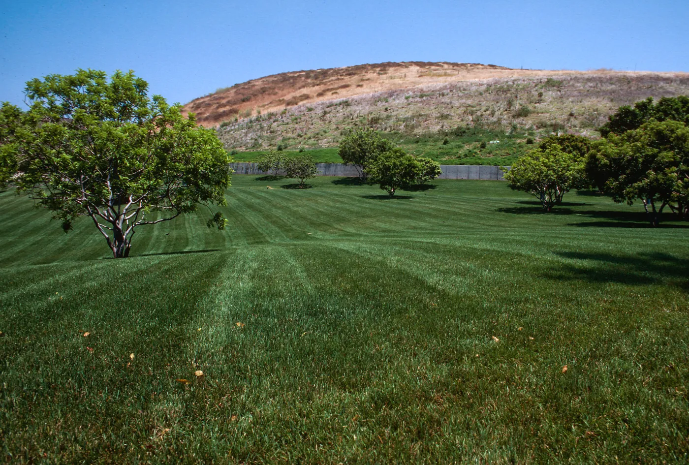 Wateridge Gardens