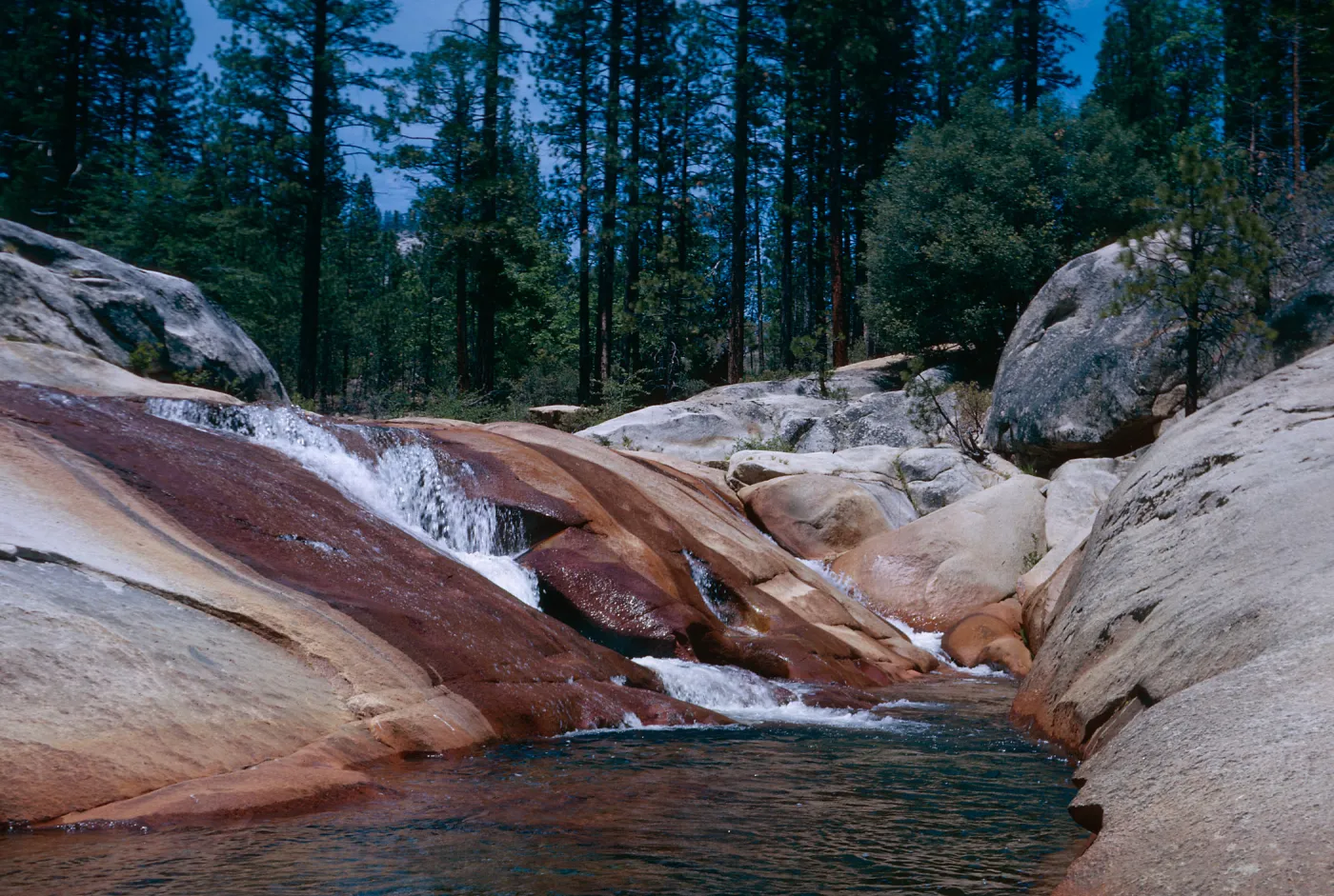West fork, Chiquito Creek