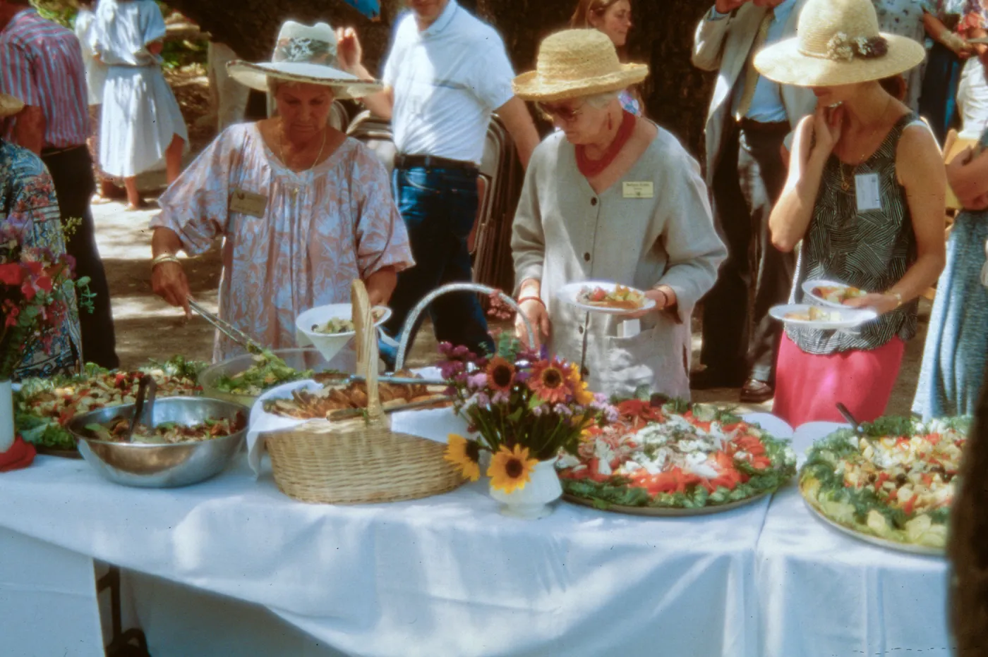 Volunteer Luncheon