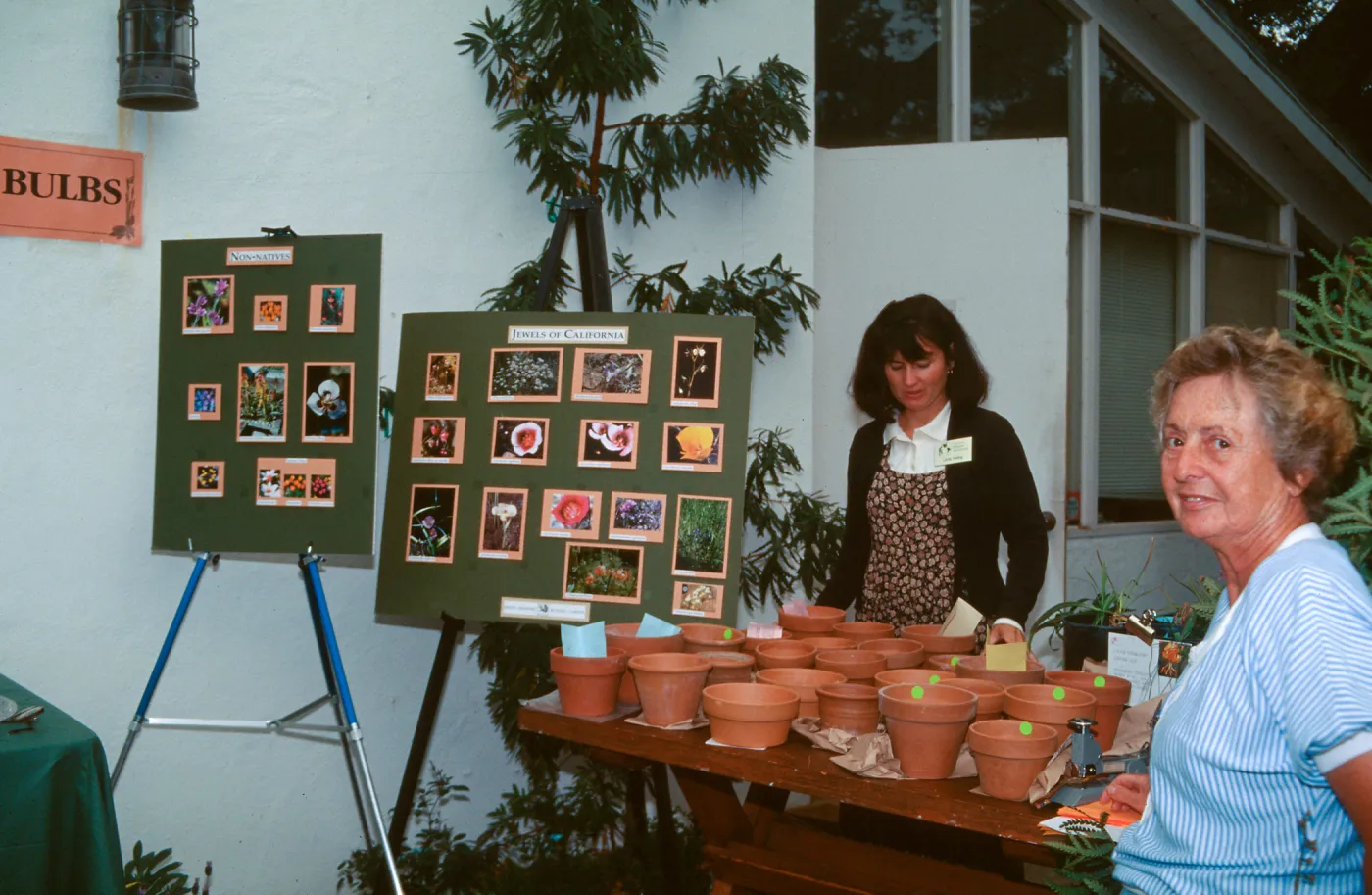 Fall Plant Sale