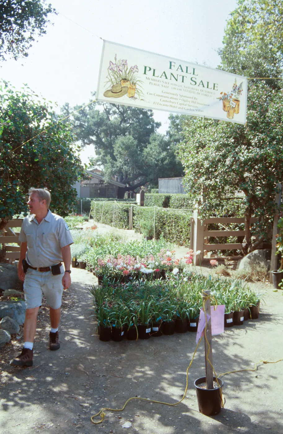 Fall Plant Sale