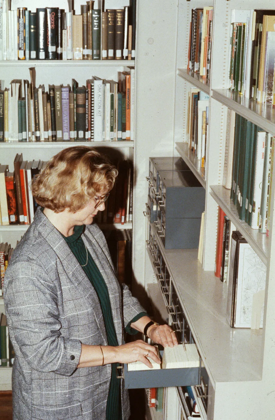 Becky Eldridge, Library Annex