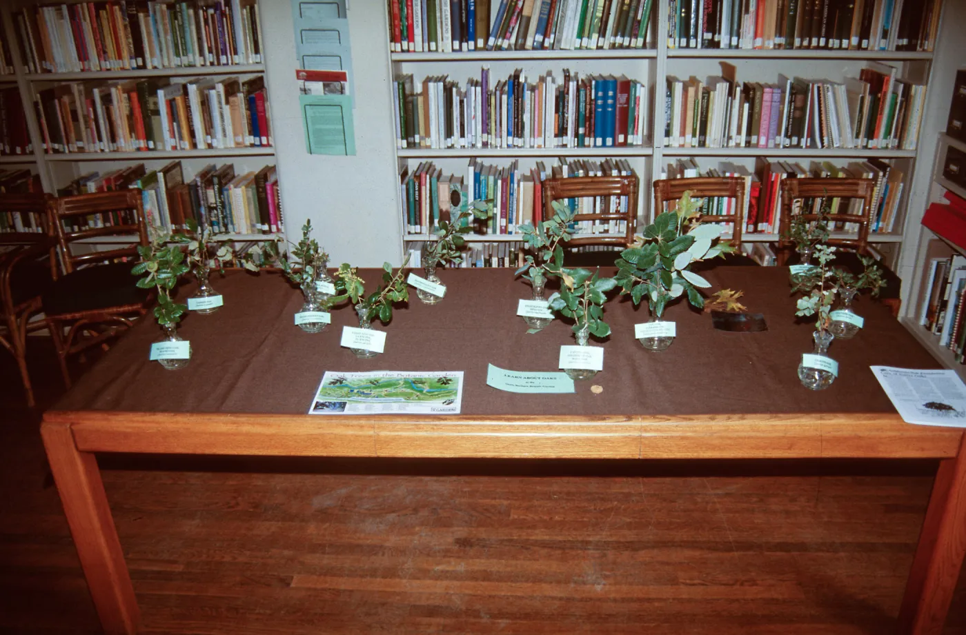 Oak display