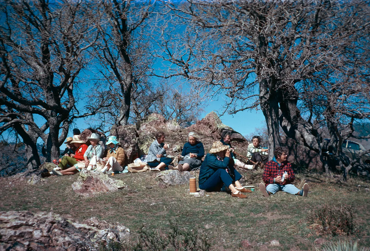 botanical foray, Figueroa