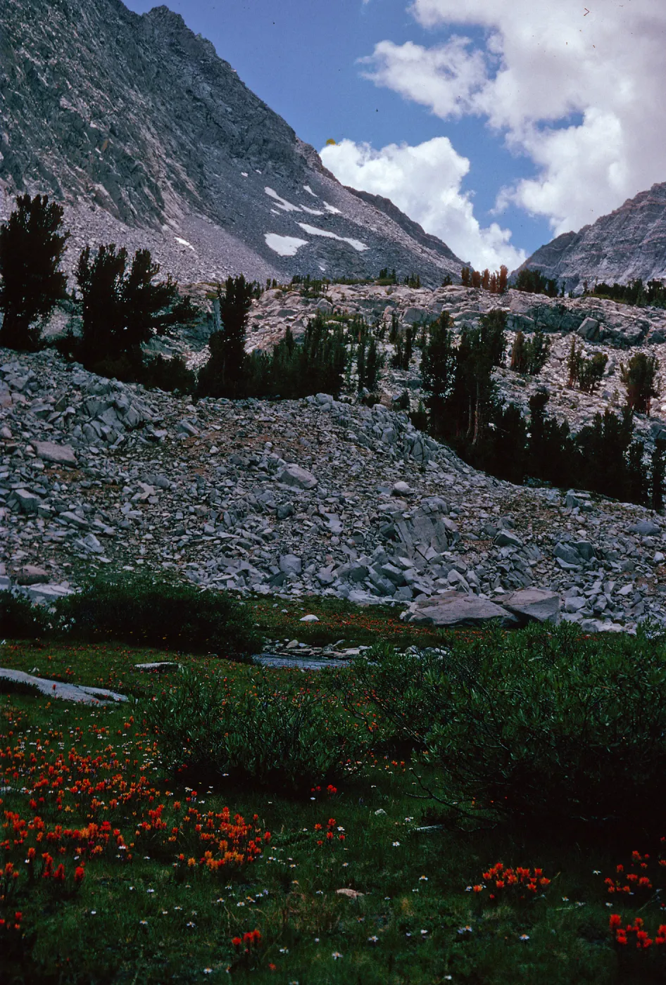 Rock Creek, 1994