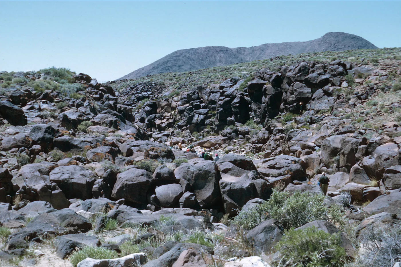 Field Trip, Big & Little Petroglyph Canyons