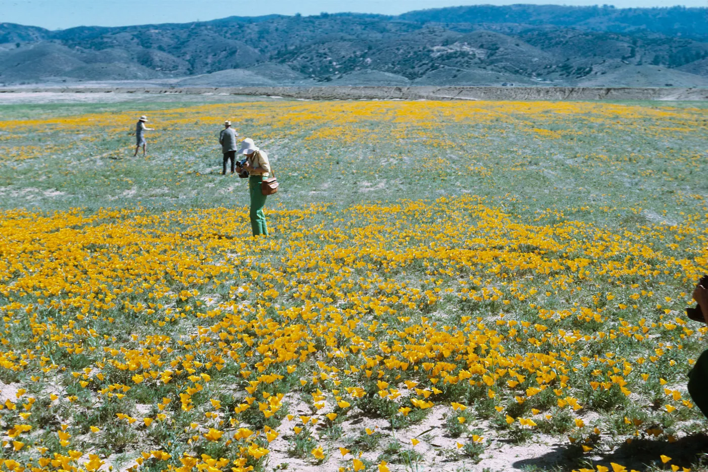 Field Trip 1969