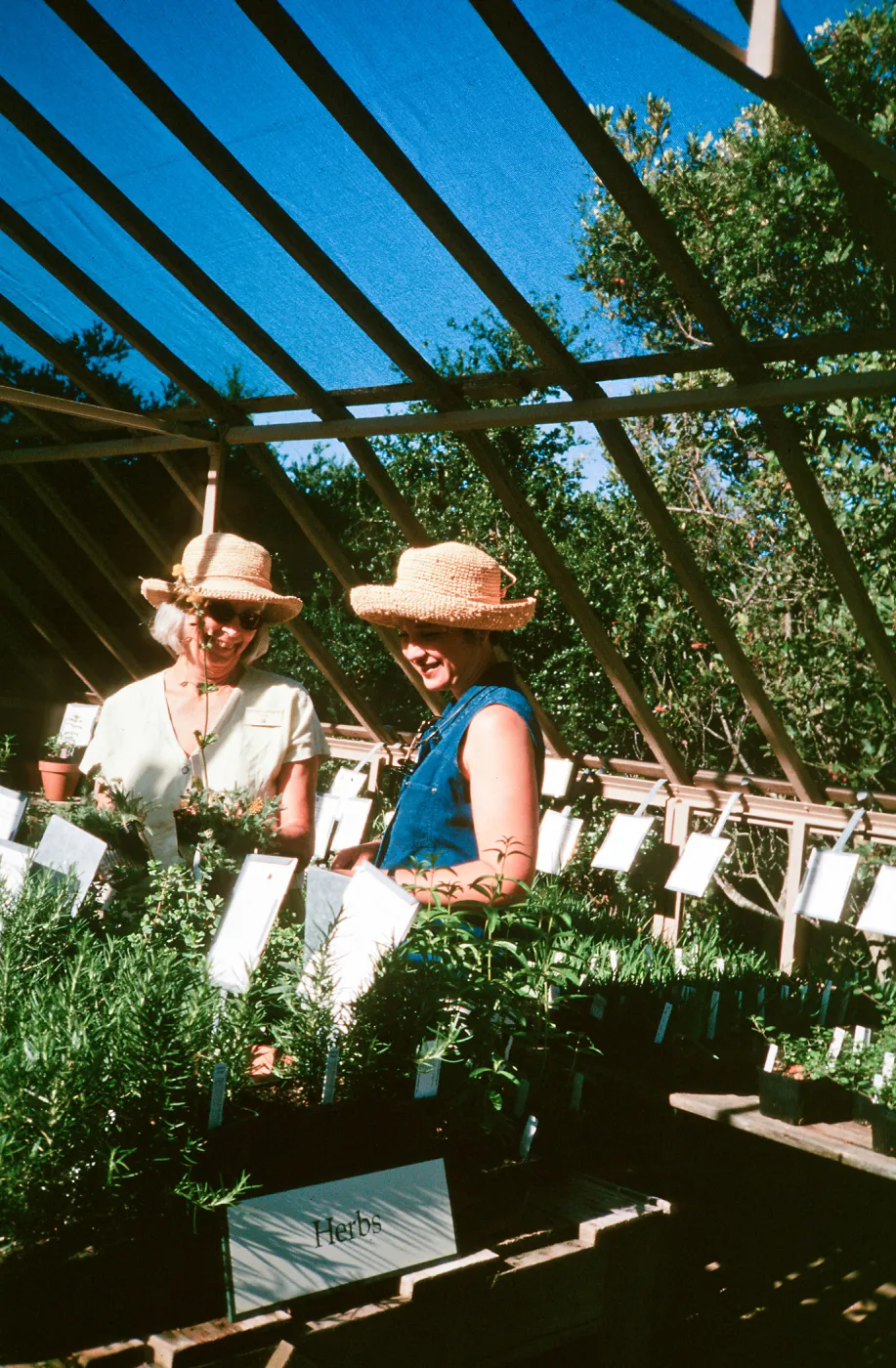 Garden Growers Nursery, Master Gardener Volunteer Slide Show, Santa Barbara Boanic Garden
