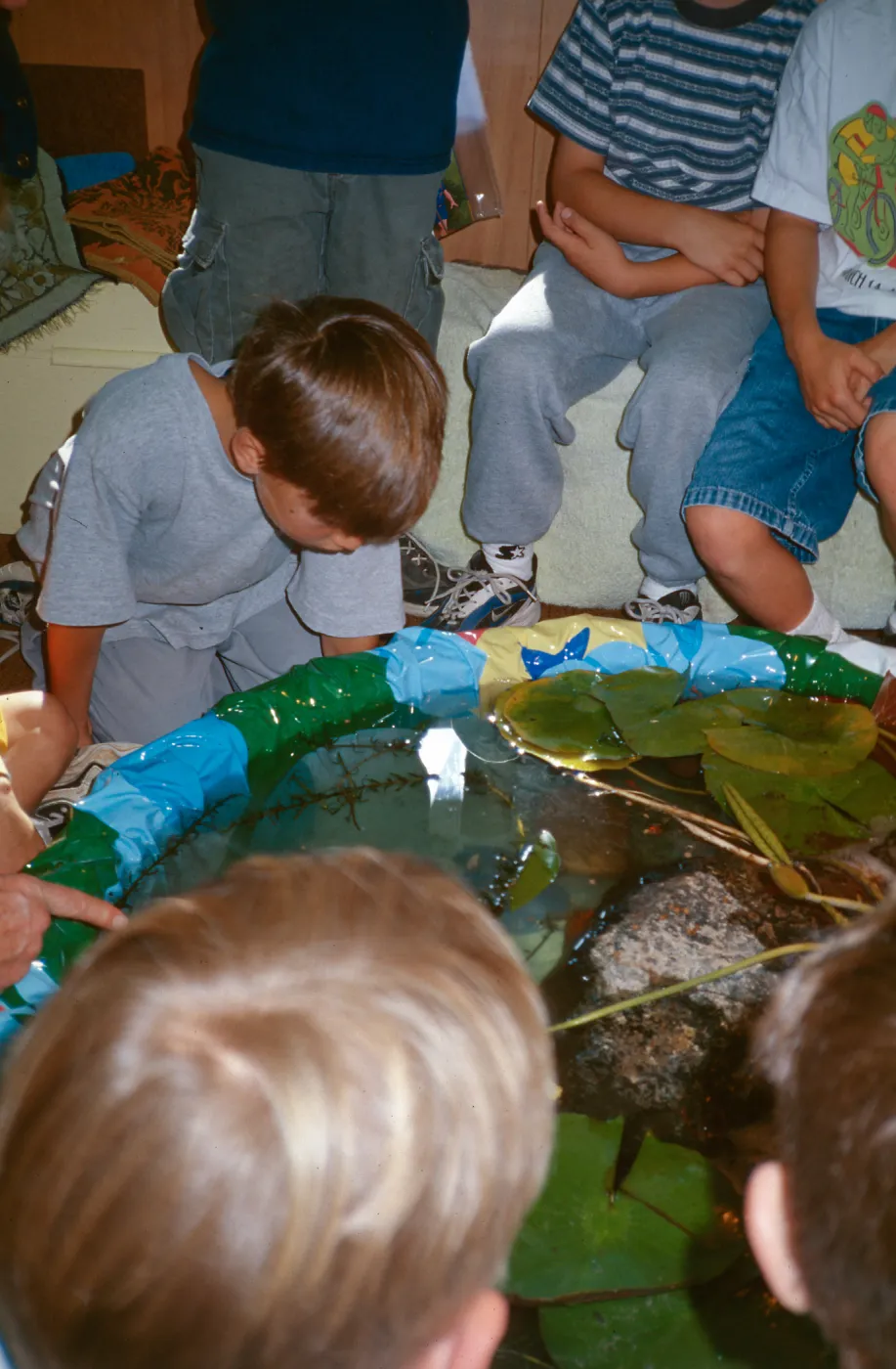 School Classroom Pond/Monte Vista Elementary, Master Gardener Volunteer Slide Show